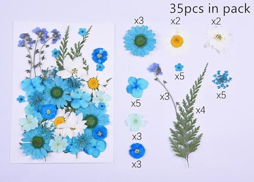 Flores secas prensadas para resina, kit natural 82 piezas miniatura 4