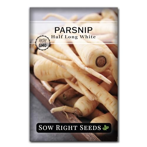 Sow Right Seeds - Half Long White Parsnip Seeds for Planting - Non-GMO Heirloom Packet with...