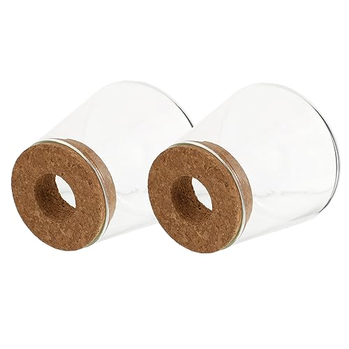 iplusmile 2piezas Botella Ecológica De Vidrio Jarrones Hidropónicos para Plantas Macetero De Vidrio para Decoración del Hogar Duradero para Oficina o Jardín