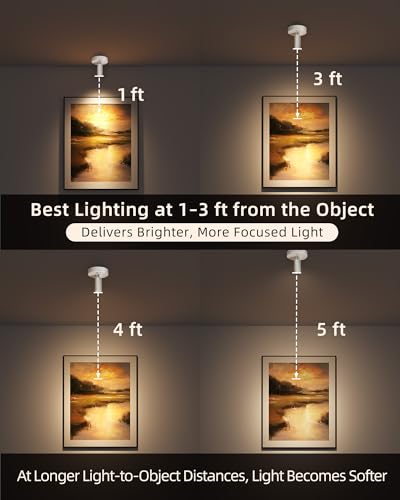 Image of EZVALO Spot Lights Indoor, 5500mAh Rechargeable Plant Spotlights with Remote, Wireless Mini Art Accent Light with Timer & Dimmable, 3-CCT, Uplights Indoor for Plants, Display, Artwork (4-Pack-White)