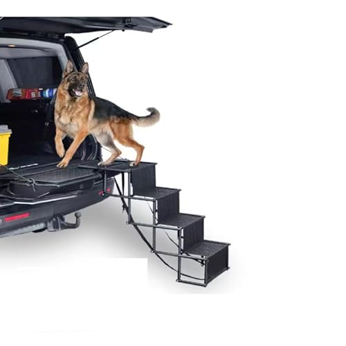 Is climbing stairs good for dogs