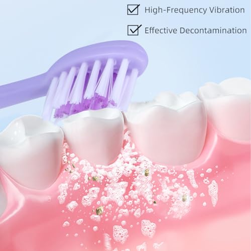 Image of MINISO Electric Toothbrush AA R6 Battery Powered Roman Pillar Design + 3 Brush Heads (Purple)