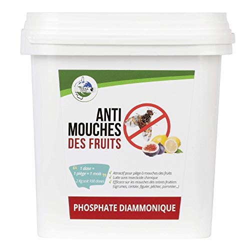 TERRA NOSTRA Phosphate Diammonique Appât mouches des fruits - Seau 2kg - Utilisable en agriculture biologique vert 161615 Cover