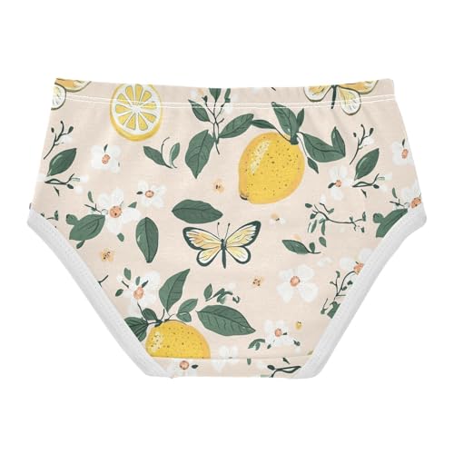 Wusikd Cute Lemons Girls' Underwear Cotton Butterflies Flowers Girls Briefs Soft Toddler Underwear 2T2