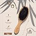 lampox - Bambus Haarbürste mit Wildschweinborsten Kopfmassage Haarpflege, Entwirrbürste für lange Haare & Locken von Damen, Herren & Kinder, Massagebürste für die Kopfhaut, Detangler (oval)