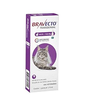 Bravecto Antipulgas Transdermal Para Gatos De 6,25 A 12,5kg 500mg