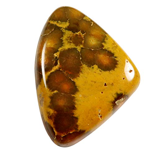 Jaspe Océan cabochon 32.45 carats, la pierre naturelle idéale contre le stress Nx65