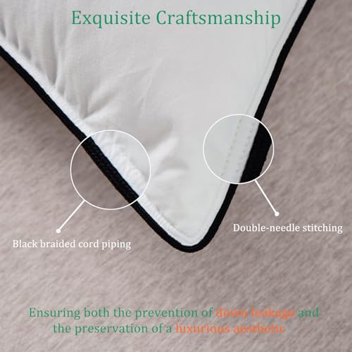 Hyvif TOP-S-75 Luxury White Goose Down Pillows Standard Size - 750+ Fill Power - 480 Thread Count 100% Cotton Shell - Soft And Support Down Bed Pillow thumb #4