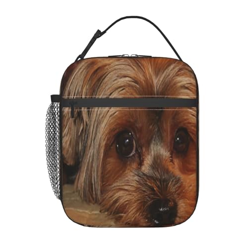 ポータブル断熱ランチバッグ。防水性と漏れ防止性を備え、スタイリッシュで丈夫。仕事、学校、アウトドア活動に最適です。男性にも女性にも適しています。(子犬のヨークシャーテリア、かわいい犬ヨーキー)