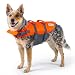 Medium Dog Life Jacket, Outward Hound Granby Splash