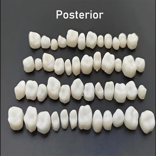 Image of Temporary Tooth Veneer Crowns Kit - 100PCS /Box (50 Anterior + 50 Posterior) - DIY Fake Teeth Cap for Missing Teeth & Natural-Looking Smile Restoration for Holiday Cosplay
