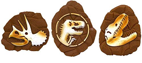 Photo 1 of Jurassic World Fossil Vinyl Toys for Dogs with T-Rex, Triceratops Logo Bulk Order, 24 Pieces for Pet Shops | Squeaky Dog Toys Safe for All Dogs and Aggressive Chewers
