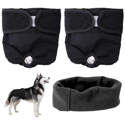 3 Stück Hundehöschen Läufigkeit - Läufigkeitshose Waschbar Mit Verstellbarem Höschen - Inkl Gehörschutz Hund - Hochsaugfähige & Auslaufsichere Windeln Für Weibliche Hunde (S, M)