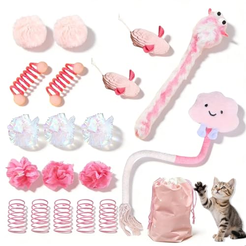 AINTE 20 Pcs Cat Toy Pack Interactive Kitten Toy Set Including Cute Catnip Chew Rope Springs Mice Crinkle Ball Furry Balls Toys for Indoor Cat Pink Kitten Toys with Gift Bag