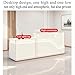 Reception Desk with Counter，Modern Front Desk Reception Counter for Checkout, Lobby, Beauty Salon (Left Higher)