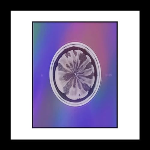 XG New DNA 1st Mini Album X Version CD+78p PhotoBook+2ea Sticker+1p Trading Card+1p PostCard+1ea Lyrics Paper+1ea Tattoo Sticker+Tracking Sealedの商品画像