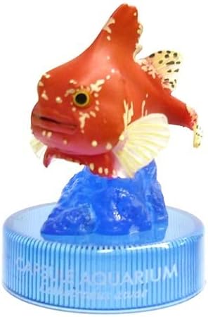 Amazon カプセル 日本水族館立体生物図録 カプセルアクアリウム3 3 ダンゴウオ レッド フィギュア ドール 通販