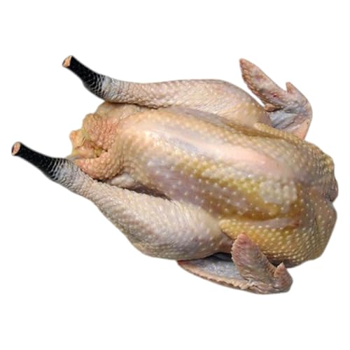 [かしわの川中]超新鮮&美味!ローストチキン用丸鶏 淡海地鶏 [G006] / 丸鶏 地鶏 ローストチキン