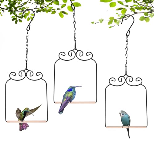 XYADX 3PK Metal Frame Hummingbird Swings and Perches with Wooden Dowel Black Bird Swing Outdoor Bird Perch Humming Bird Swing (3PK)