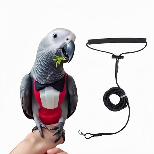 Magnoloran Bird Diapers with Bow Bird Harness Tuxedo Flight Suits with 80in Flying Leash Parrot Nappy with Waterproof Inner Layer Urine Wet Suite for Cockatiel Conure Parakeet Macaw Budgie-Red,XL