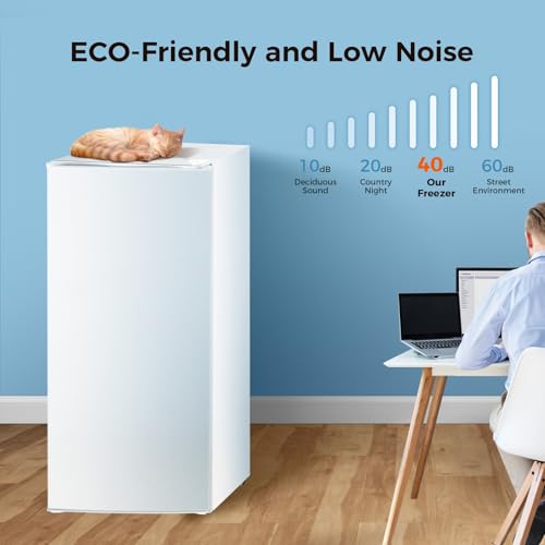 Kismile Upright Freezer, 6.0 Cu.ft Deep Freezer with Reversible Single Door,Removable Shelves, Small Stand Up Freezer with Adjustable Thermostat for Home/Kitchen/Office/Garage (White)