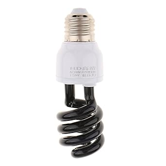 CLUB BOLLYWOOD Ultraviolet Blacklight Bulb Cfl Fluorescent Light Bulb Spiral Type - 15W | Home & Garden | Lamps, Lighting & Ceiling Fans | Light Bulbs | Light Bulbs