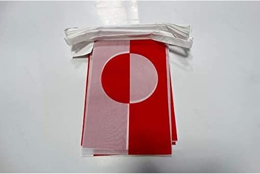 AZ FLAG Greenland Bunting Flag, 20 Ft Garland with 20 Small Greenlander Flags 8'' x 6'', 100% Polyester String Pennant, 6 meters