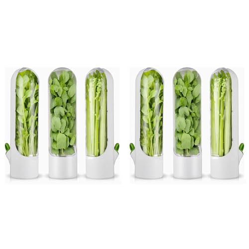 Gvvsjgdbis - 6 unidades de conomizador de hierbas para refrigerador, conservación de hierbas frescas para refrigerador, almacenamiento de hierbas para cilantro, espárragos