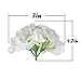 Flojery Silk Hydrangea Heads Artificial Flowers Heads with Stems for Home Wedding Decor,Pack of 10 (White)