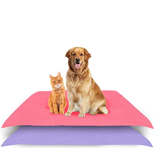 Reusable Dog Pee Pads 100 x 70 cm (Medium) | Pack of 2 | Waterpro...