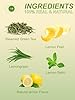 TeeLux Lemon Green Tea Bags, Premium Green Tea wit... #2