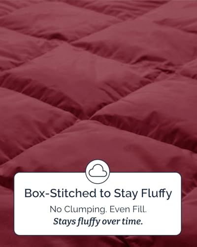 Image of Twin Size, Burgundy Alternative Down Comforter - Warm, Lightweight & Breathable Hotel Quality Bedding Set for Men, Women, Kids & Teens - All Season Oversized Cooling Microfiber Duvet Insert Comforter