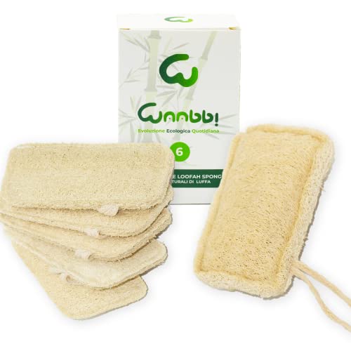 Éponge de cuisine naturelle Organic Loofah exfoliante en éponge de luffa, naturelle Sponge de cuisine, éponge, brosse de luxe, 100 % organique, biodégradable et écologique Cover