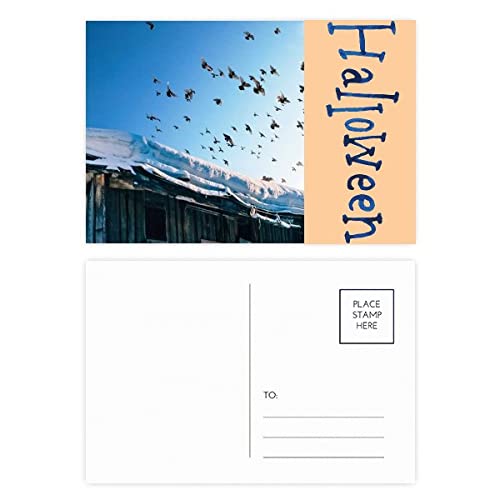 Cartes postales d'Halloween lot de 20 pièces blanches en forme de cabane à oiseaux