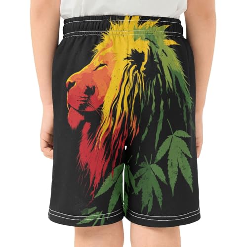 DOMIKING Lion Black Kids Shorts Pull-on Boys Shorts with Elastic Waist Casual Athletic Pants for Playwear Summer3