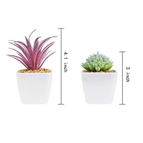 Tiita Artificial Faux Succulents in Pots Fake Plants Plastic Arrangement Planter Small Mini Tiny Decoration for Home Office Desk Window Sill Bathroom Bedroom Outdoor Indoor 12 Set
