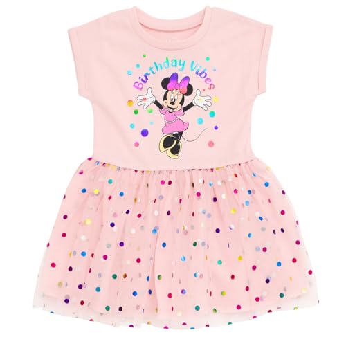 Disney Minnie Mouse Mickey Mouse Rainbow Tulle Dress Toddler to Big Kid