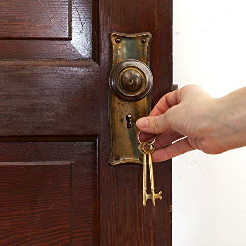 Lucky Line Skeleton Key 1 Flat 1 Notch Tip, 2 Pack, Combo (87202) #TOP1