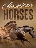 American Horses