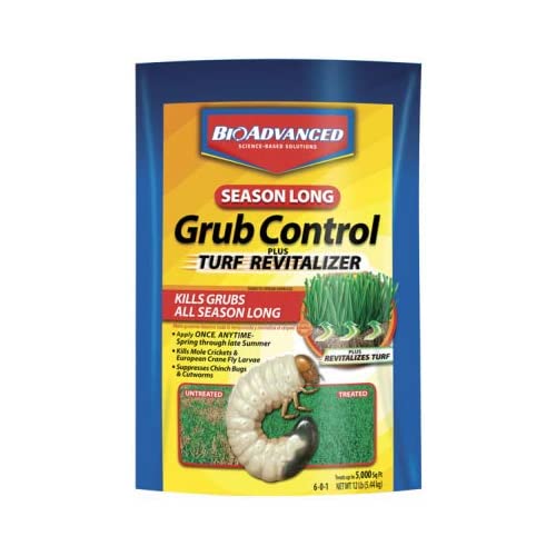 10 Best 10 Bayer Grub Killers Review And Buying Guide of 2023