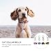 JOINPAYA Cat Bells 4Pcs Copper Pet Collar Bells with Keychain Pendant for Cat Training and Necklace Supplies Loud Jingle Sound Suitable for and Small Pets Random Color Random Color
