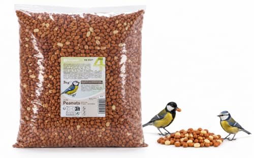 Flamingo Wildvogelfutter – Premium-Qualität – Geschälte Erdnüsse 3kg