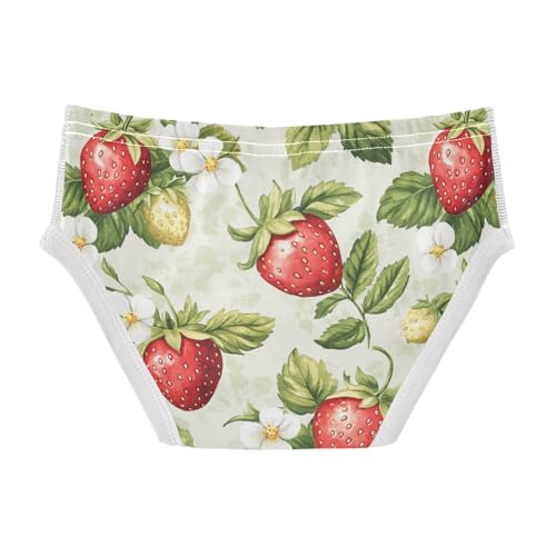 Wusikd Strawberries Boys' Underwear Cotton Watercolor Boys Briefs Soft Toddler Underwear 2T2