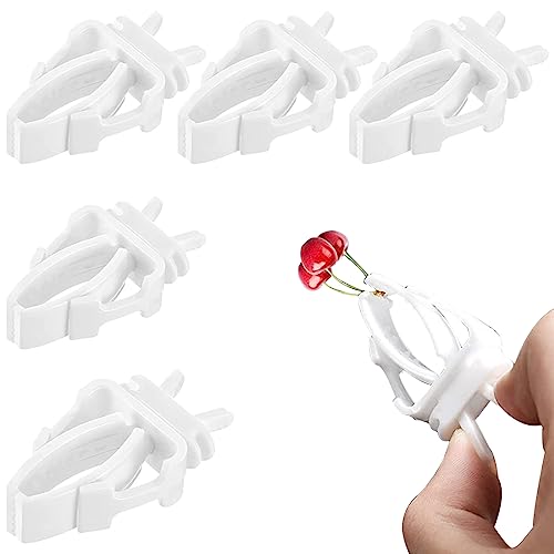 XPE 5 PCS pinzas para loros con pinzas para loros accesorios de jaula de pájaros comedero para pájaros comedero pajaros accesorios para jaula de pájaros comederos para aves con pinzas para loros