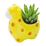 Cuteforyou Cute Animal Shaped Cartoon Home Decoration Succulent Vase Flower Pots