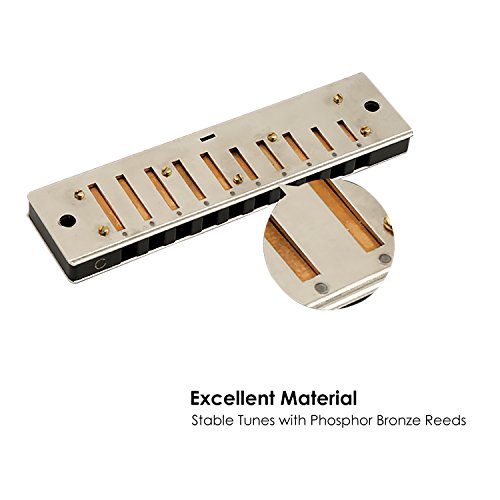 Mugig Harmonica, C Key Harmonica for Beginners or Kids, 10 Holes 20 Tones, 1.2mm Plate Structure, Stainless Steel Cover, with Carry Box, Black (Standard)