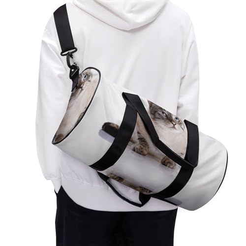 Sac de voyage Fat Cat idéal pour compartimenter la gym - 6
