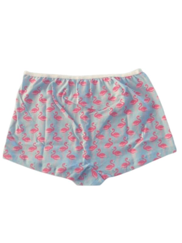 bareblow Antibacterial Cotton Stretch Boy Shorts for Women | Long Panty | Boyshorts - Pack of 1-picture-36