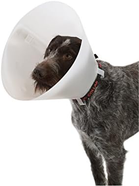 amazon buster collar