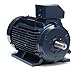 Marathon R322A 100L Frame Totally Enclosed Fan Cooled 100LTFC6526 IEC Motor, 3-2.2 KW, 1800/1500 RPM, 230/460 VAC, 3 Phase, 2 Speeds, Ball Bearing, Rigid Base